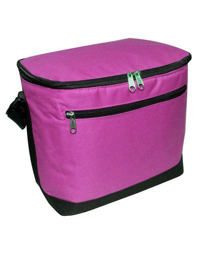  12-Pack Cooler 