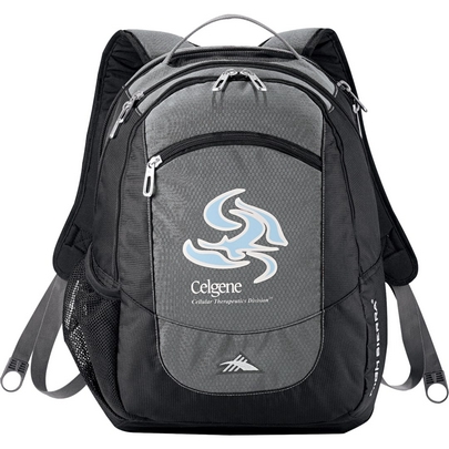  High Sierra Fly-By 17&quot; Computer Backpack 
