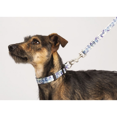  Full Color 3/4&quot; Wide Premium Pet Leash 