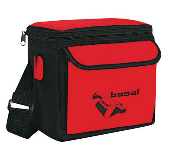 Two-Tone Insulated 6 Pack Cooler