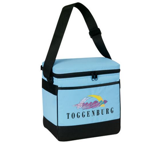 Insulated 12 pack cooler ??